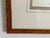 Chestnut Ethan Allen Framed Antique Bird Print: Paris Major For Sale - Image 8 of 10