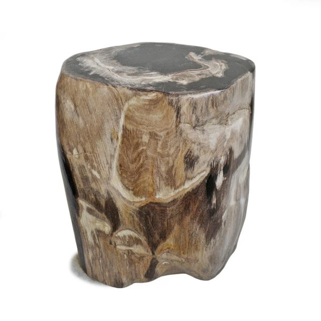 Modern Vintage Petrified Stump Stool / Side Table For Sale - Image 3 of 5
