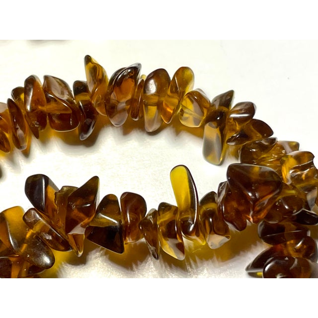 Amber has been treasured for millennia as fossilized tree resin. The deep brownish-orange variety, known in the jewelry...