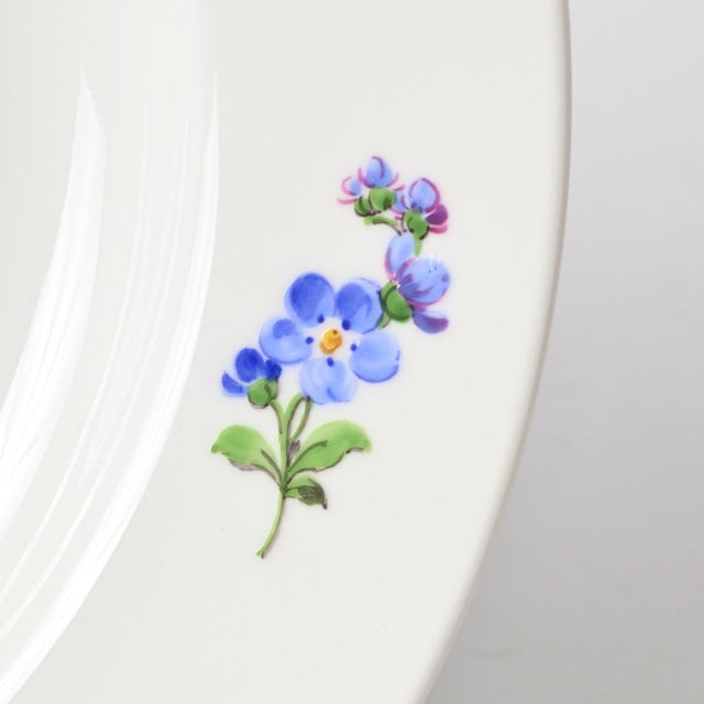 White Hand-Painted Porcelain Plate from Meissen, 1960s For Sale - Image 8 of 11