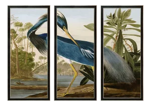 Reproduction Audubon Heron Triptych in Italian Black Veneer With Champagne Edge