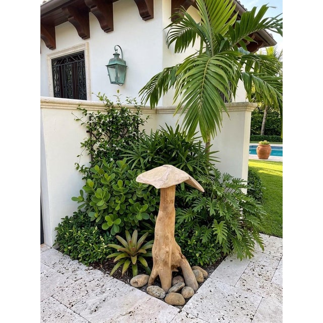Wood Whimsical Hand-Carved Teak Root Mushroom Garden Sculpture For Sale - Image 7 of 12
