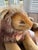 Vintage Steiff 1950’s Leo the Lying Lion 45cm and in Like New Condition For Sale - Image 11 of 17