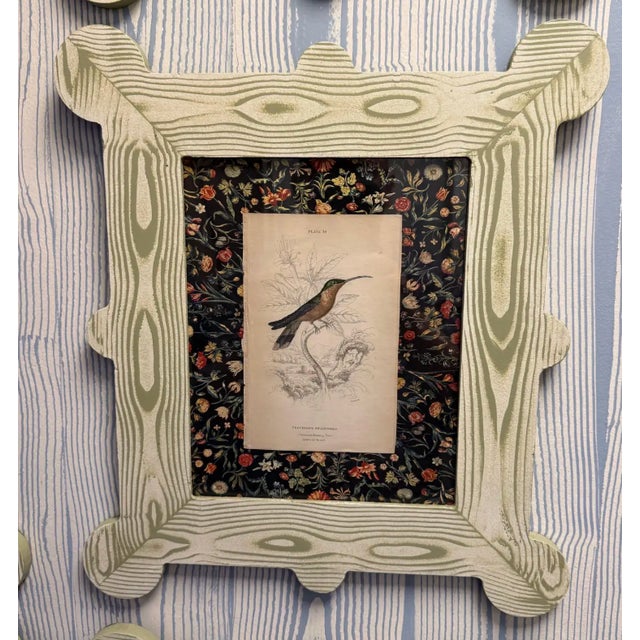 19th Century Hummingbird and Nectarivore Engravings in Custom Faux Bois Frames (6 Priced Individually) For Sale In Richmond - Image 6 of 8
