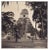 Hanna Seidel, Guatemalan Tikal, Black and White Photograph, 1960s For Sale