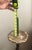 18th C.Italian Church Alter Candlestick Fitted as Floor Lamp, Needs Lamp Parts, 38” H For Sale - Image 6 of 12