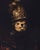 This artwork features a marmot adorned with an intricately detailed golden helmet, exuding a whimsical yet regal presence....