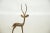 Vintage African Copper Left Facing Alert Gazelle For Sale - Image 4 of 7