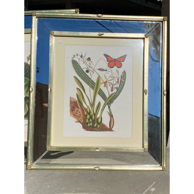 Beautiful wood frame with beveled mirror insets, adorned with floral and leaf medallions. Glass front. Can be used to...
