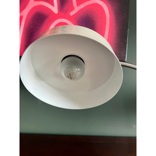 Mid-Century German Desk Lamp with Gooseneck and Witch Hat from Hillebrand Lighting, 1950s For Sale - Image 10 of 11