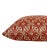 Spiced Coral 22x22 Velvet Throw Pillow With Feather Down Insert For Sale - Image 4 of 6