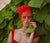 Royal Tea Grace by Dasha and Mari Lady in red, a model poses under a vibrant veil in nature, 2019. Limited edition print...