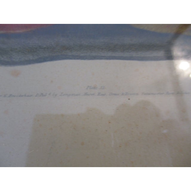 Early 19th Century George Brookshaw (1751-1823) Melon Prints Reproduction - Set of 4 Framed For Sale - Image 12 of 17