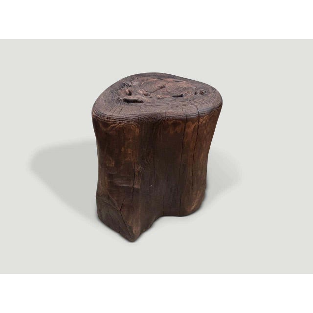 2010s Andrianna Shamaris Modern Organic Charred Side Table For Sale - Image 5 of 5