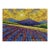 Oil Painting the Sun's Rays Glide Across the Meadows v. Zadorozhnya For Sale