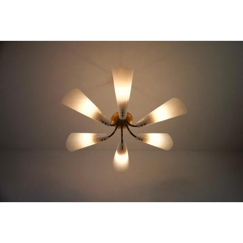 Vintage Italian Sputnik Chandelier in Brass, 1950s For Sale - Image 4 of 14