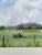 Not Yet Made - Made To Order Giclee Print Watercolor Painting “My Neighbors” For Sale - Image 5 of 6
