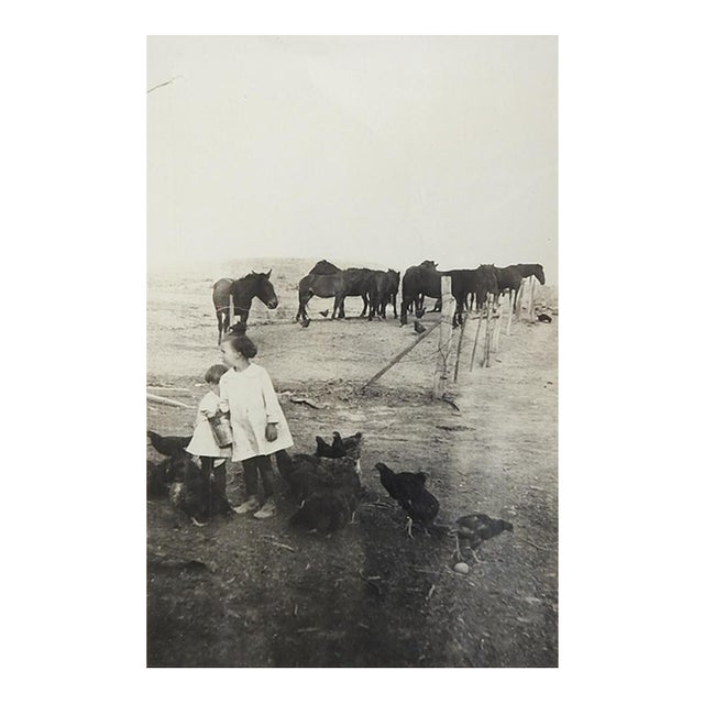 Early 20th Century Horses Mules Chickens Children Snapshot Photograph For Sale