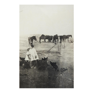 Early 20th Century Horses Mules Chickens Children Snapshot Photograph