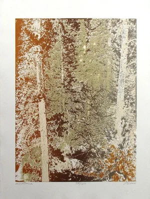 1980s "Wild Basin" Forest Landscape Etching by Paula Crane