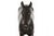 French Antique Bronze Sculpture of Racehorse by Francois Peyrol Ca. 1910 For Sale - Image 12 of 18