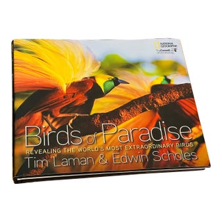 Birds of Paradise Coffee Book Superb Illustrations For Sale