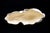 Reclining Rabbit in Cream Crackle-Glazed Earthenware by Charles Lemanceau for Saint-Clément, France, 1930s For Sale - Image 11 of 13