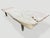 Andrianna Shamaris Minimalist Bleached Teak Wood Coffee Table or Bench For Sale - Image 9 of 18