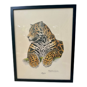 1970s Jaguar Lithograph by Richard Evans Younger, Signed, Framed