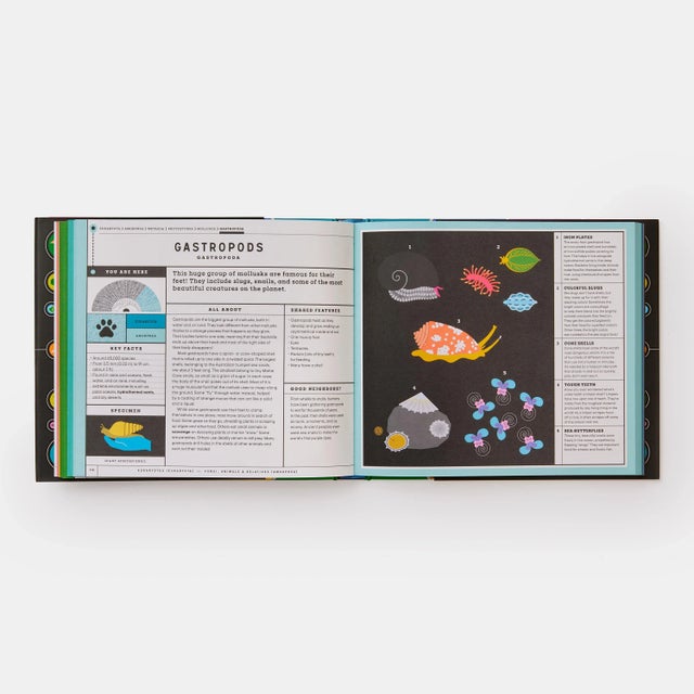 Full of Life Exploring Earth's Biodiversity Book For Sale - Image 11 of 13