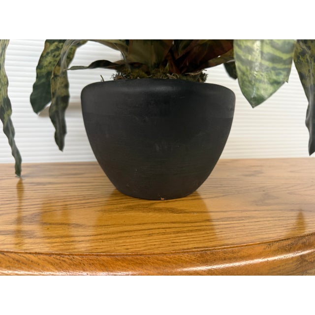 Artificial Vriesea Hieroglyphica Plant + Vase For Sale - Image 12 of 12