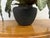 Artificial Vriesea Hieroglyphica Plant + Vase For Sale - Image 12 of 12