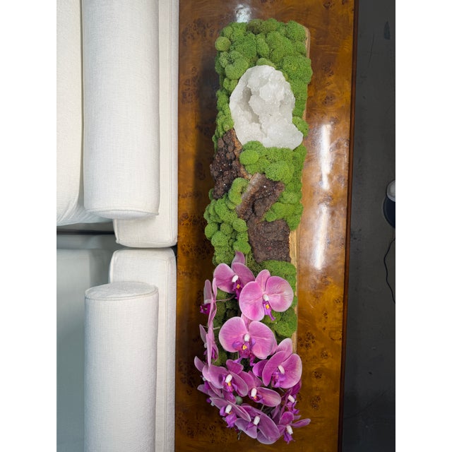 Botanical Mix Potted Arrangements For Sale In Dallas - Image 6 of 9