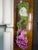 Botanical Mix Potted Arrangements For Sale In Dallas - Image 6 of 9