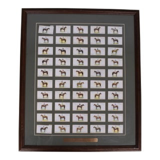 Set X 50 Derby & Grand National Winners 1933 Player's Cigarette Cards For Sale