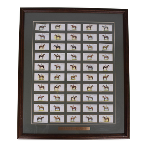 Set X 50 Derby & Grand National Winners 1933 Player's Cigarette Cards