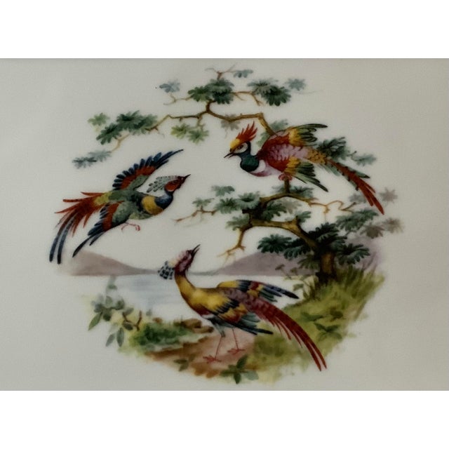 Limoges, France 1960s French Hand-Painted Porcelain Tray With Exotic Birds and Gilt Trim - SFP Foëcy For Sale - Image 4 of 18