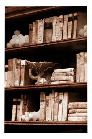 Ugne Pouwell, Library No.2, 2024, Photography