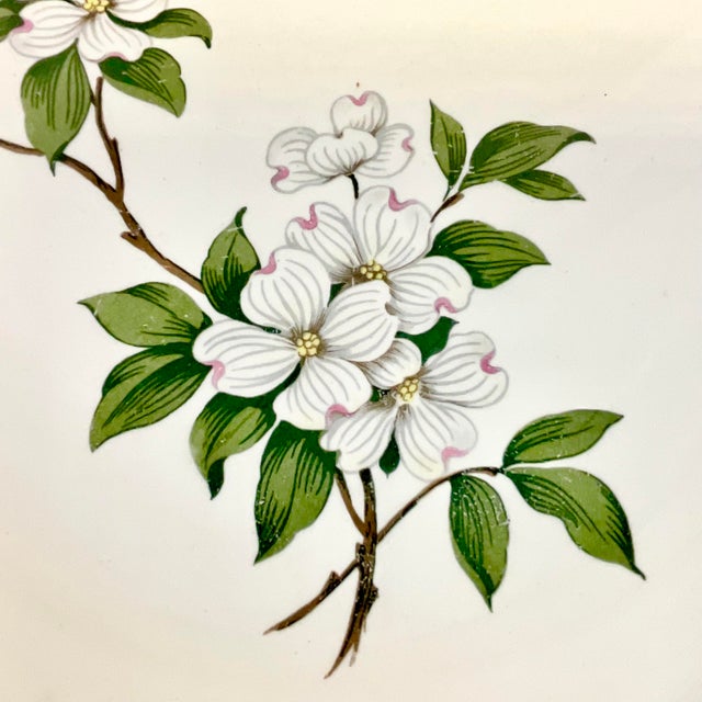 1950s Vintage Coastal Boho Chic Magnolia Luncheon or Salad Plates - Set of 6 For Sale - Image 9 of 10