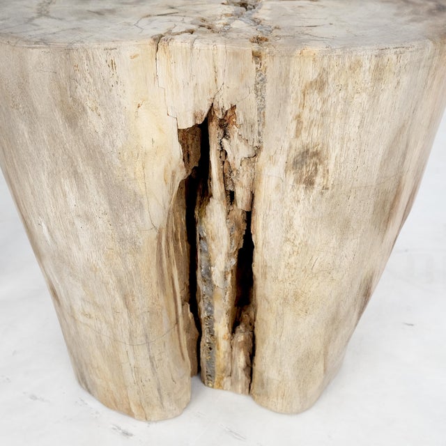 Beige Beige Large Petrified Wood Organic Stomp Shape Stand End Side Table Pedestal For Sale - Image 8 of 9