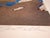 Mimmo Rotella, Pepsi, 1997, Screen Print For Sale - Image 3 of 7