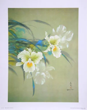David Lee, White Orchid, Poster