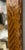 Antique Italian Small Marquetry Mirror For Sale - Image 9 of 10
