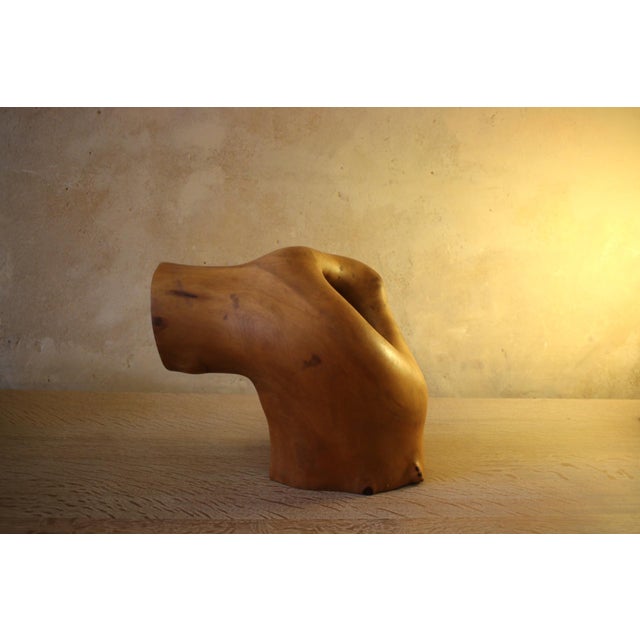 Mid-Century Modern Abstract Carved and Etched Wood Aboriginal Sculpture For Sale - Image 6 of 9