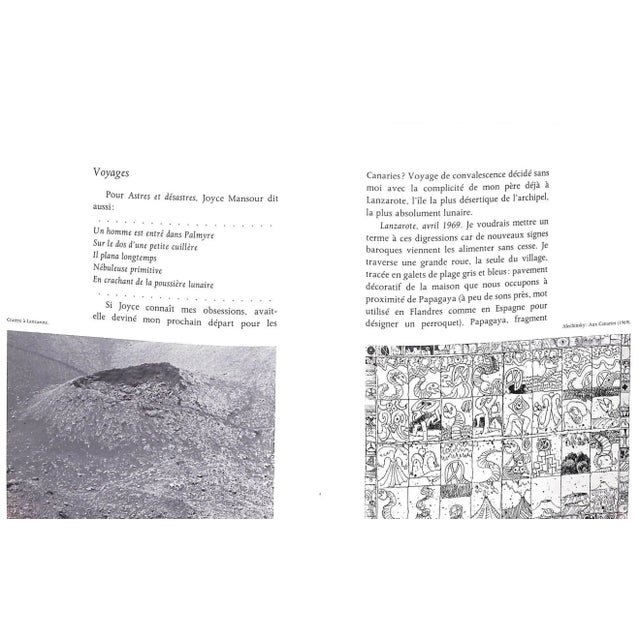 "Les Sentiers De La Creation" 1971 For Sale In New York - Image 6 of 16