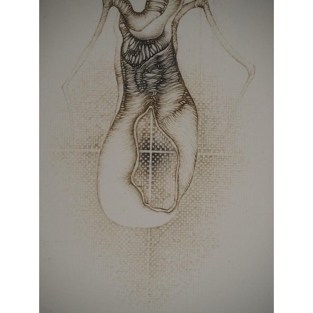 Fred Deux, Budding, Original Engraving For Sale - Image 5 of 6