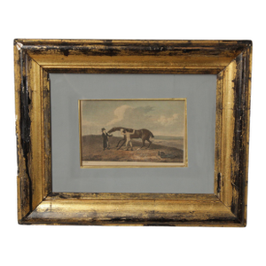 English Traditional Antique Framed Equestrian Print, 'Rubbing Down'