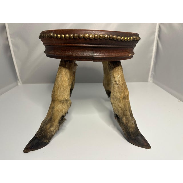 Antique Taxidermy Deer Hoof Mahogany Stool For Sale - Image 4 of 10