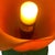 Glass Tullip Table Lamp from Vandeheg, Netherlands For Sale - Image 4 of 6