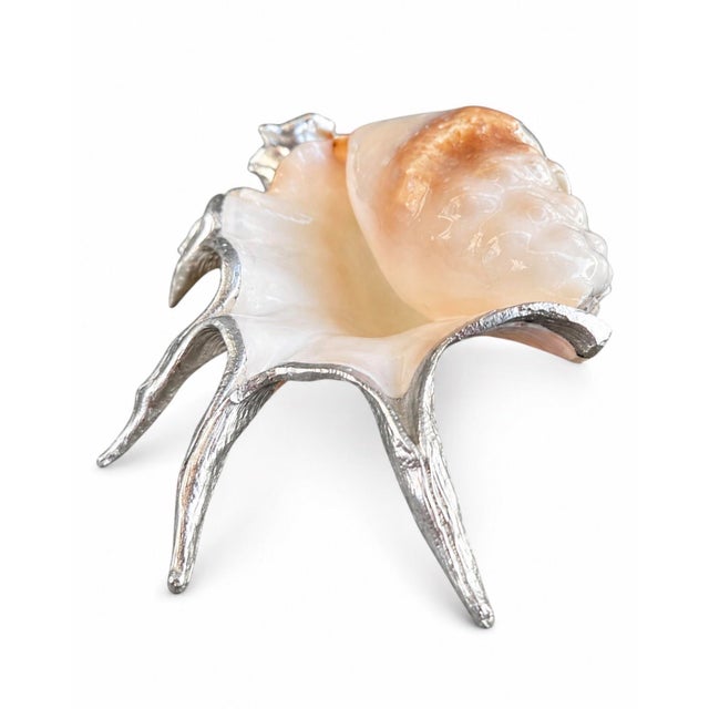 A monumental 13” spider conch, reinterpreted as a sculptural object through the application of hand-laid silver leaf. The...